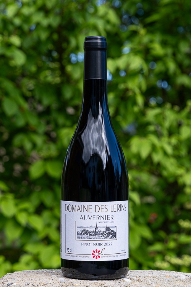 Pinot noir 2023  / bouteille 75cl