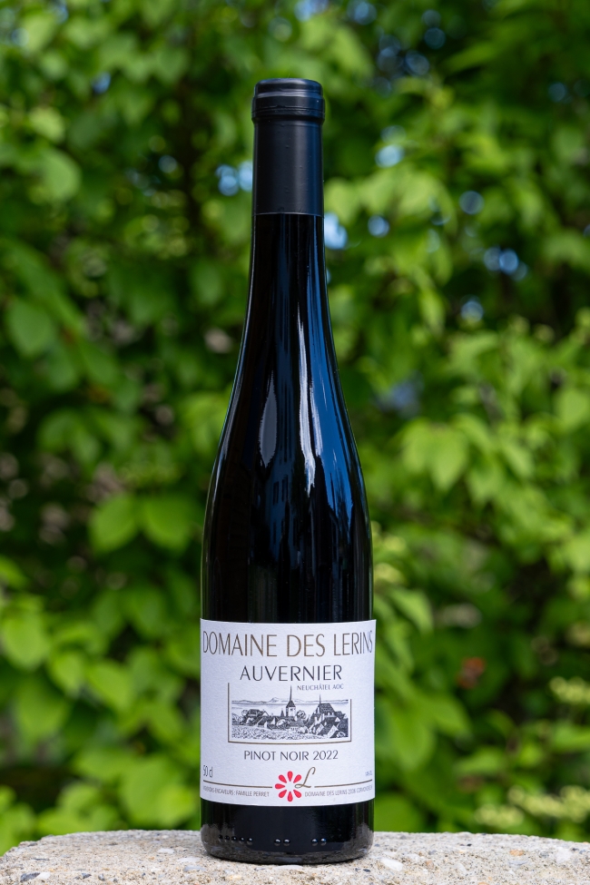 Pinot Noir 2023 / flûte 50cl