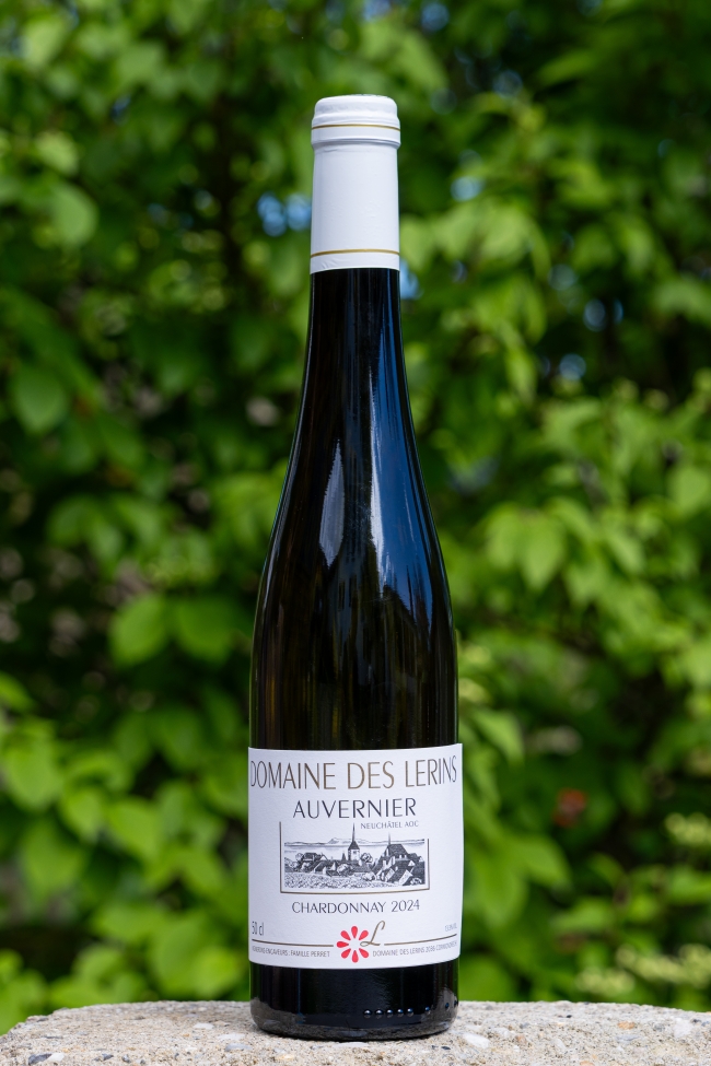 Précommande: Chardonnay 2025  / flûte 50cl